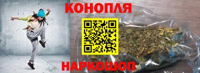 СК Дубна