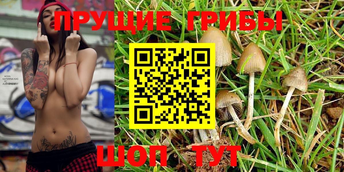 Мытищи  Псилоцибиновые грибы Magic Shrooms  Вход с VPN 