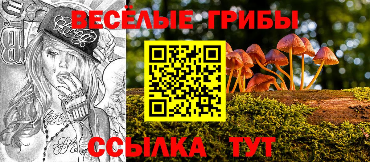 Псилоцибиновые грибы ЛСД Мытищи